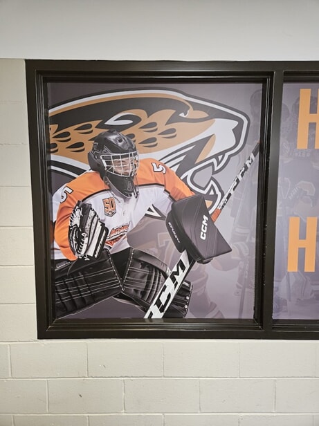 Windows & Door Graphics